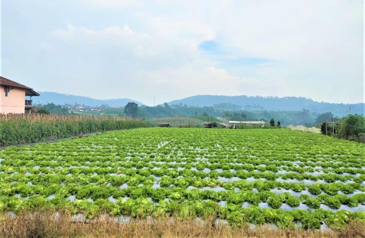 Villa Lembang Bunda Cikareumbi Ngoại thất bức ảnh